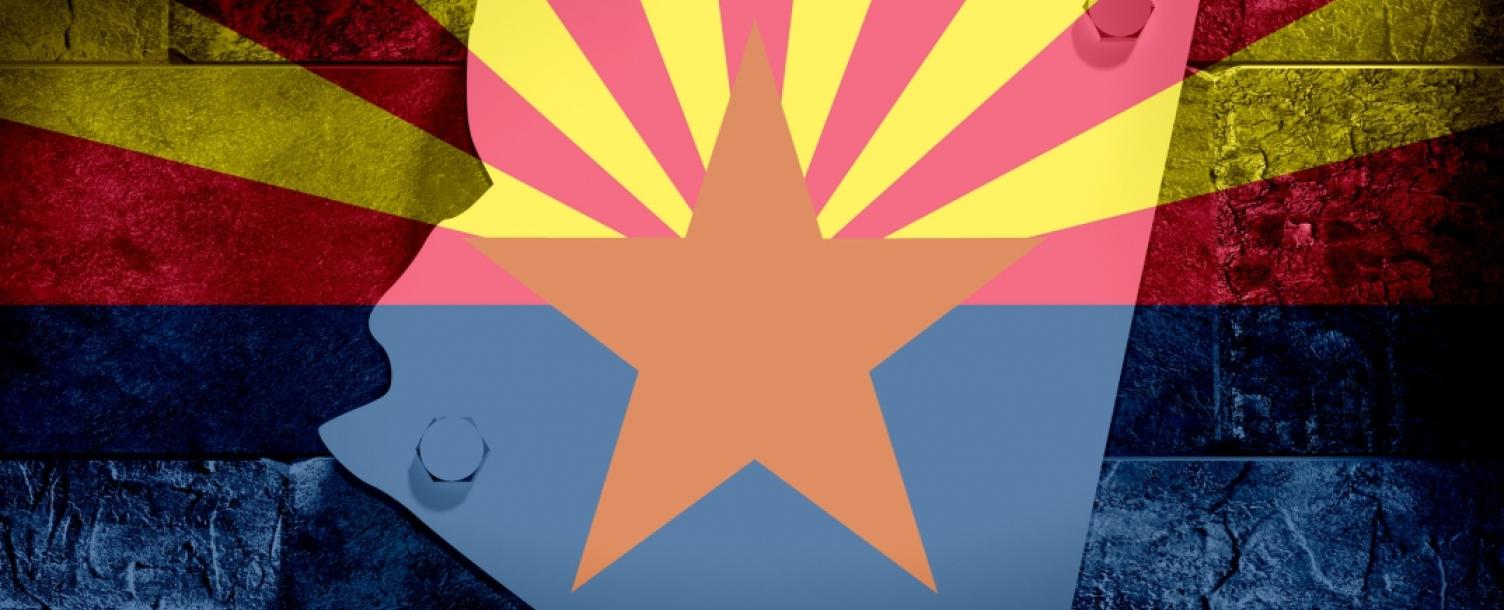 Outline of Arizona and flag